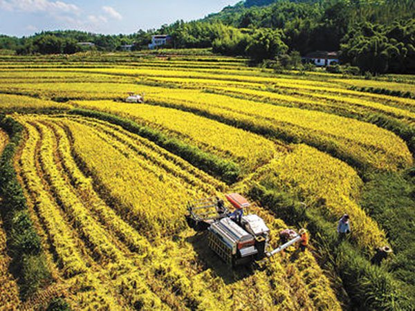 欧盟统计局新发布：28个成员国农药销量36.84万吨，法国销