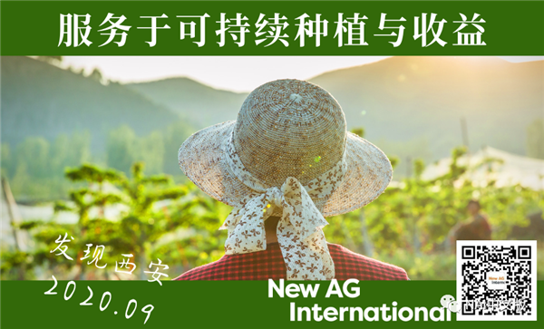 让我们聊聊天（十六）：EBIC线上圆桌讨论：疫情带来的大挑战